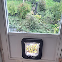 Hundeklappe in einer Tür mit Blick auf einen grünen Garten im Hintergrund.